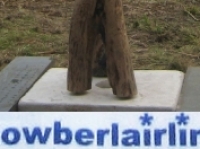 2010_zowberlairling